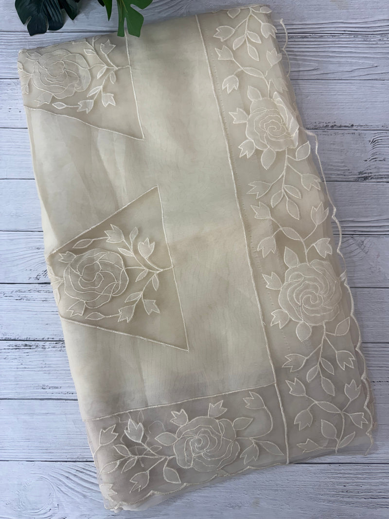 Viscose Organza saree with applique work-MSH101 Beige