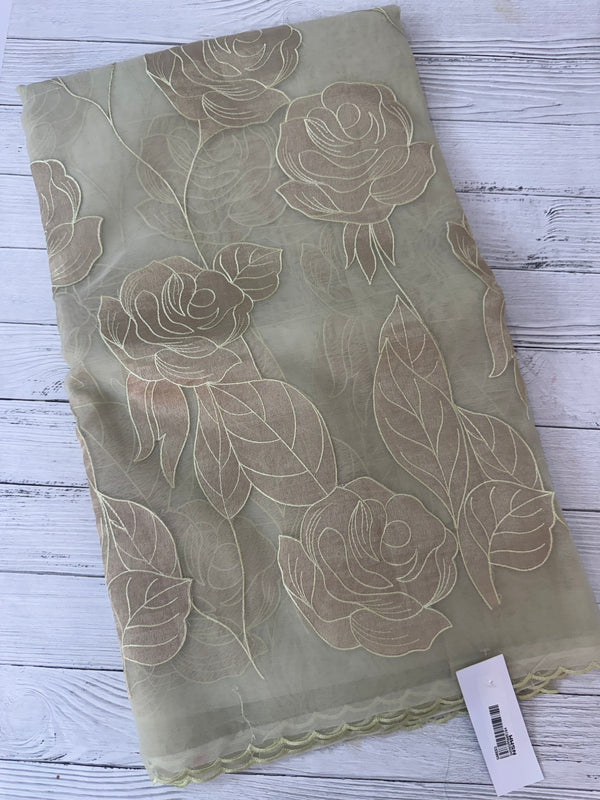 Organza saree with tissue applique work MS5081- Pastel DuskyGreen