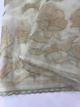 Organza saree with tissue applique work MS5081 - Pastel DuskyGreen