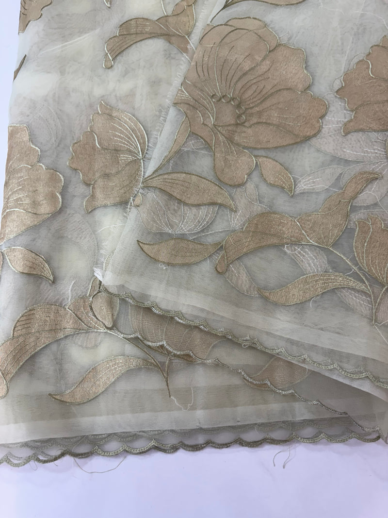 Organza saree with tissue applique work MS5081 - Pastel DuskyGreen