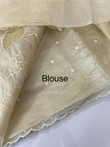 Satin silk organza saree with applique work MS14999 - Ivory