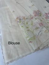 Supernet saree with embroidery and handpaintingwork MSH104- PastelBeige
