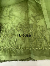 Soft organza saree with applique and thread work - MSH956