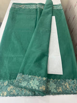 Soft Organza saree with cutwork tissue applique borders - MCW765