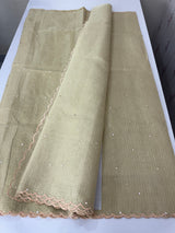 Copper Tissue silk saree with applique work MSH252
