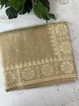 Tissue silk saree with Chikankari embroidery MTTS97(2)