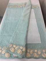 Soft Organza saree with thread work and tissue applique borders - MCW605 LightBlue