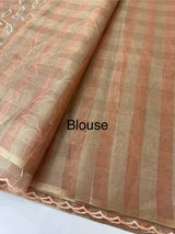 Tissue Silk applique work saree MSH133 Design 2- Peach