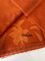Semi organza saree with appliqué work - MSH906 RustOrange