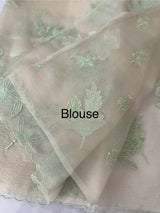 Shimmer Crush Organza saree with applique work MBS698