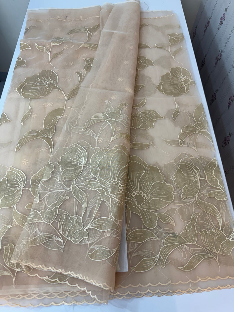 Organza saree with tissue applique work MS5081 - PastelPeach