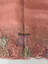 Handworked glass organza saree with applique work- MSHW227- Peach
