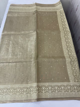 Tissue silk saree with Chikankari embroidery MTTS97(5)