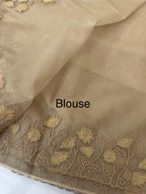 Soft Organza saree with embroidery borders - MCW786 Chiku