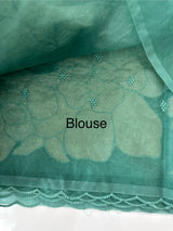 Double shade Semi organza saree with appliqué work - MSH949