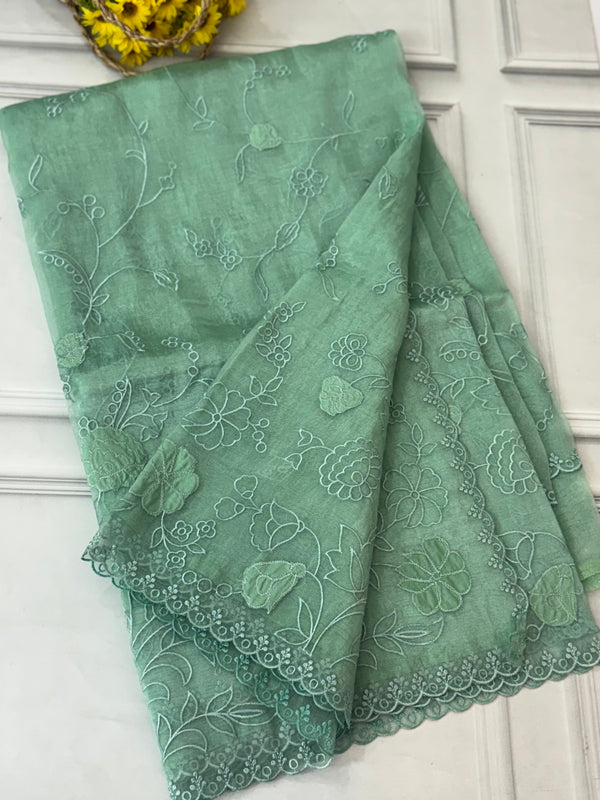 Tissue Organza Applique work saree MS14053