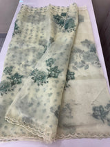 Handworked Glass organza saree with digital prints- MOS987