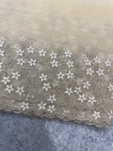 Crush tissue Organza saree with embroidery work MS14791- Beige