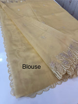 Viscose Organza saree with applique work-MSH103 CreamyYellow