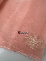 Viscose organza saree with applqiue work - MSH238 PeachPink