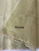 Copper Tissue silk saree with applique work MSH252