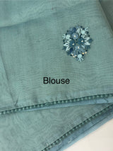 Handworked Tissue silk saree with French Knots FBLK162 DuskyBlue