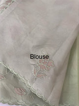 Viscose Organza saree with applique work-MSH238 Pista