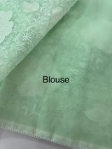 Semi organza saree with applqiue work - MSH256 AquaGreen
