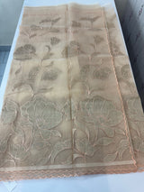 Organza saree with tissue applique work MS5081- Pastel DuskyPeach