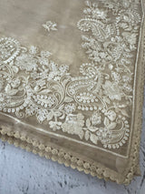 Tissue Organza saree with embroidery work MS14791 Beige