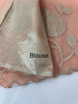 NetKota saree with tissue applique work MS15145- PastelPeach
