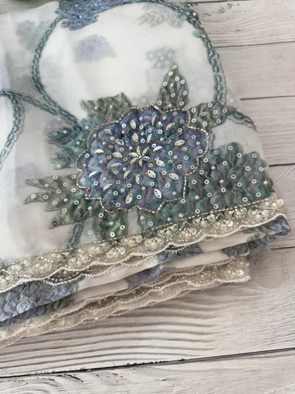 Handworked chiffon Organza saree MCS4534