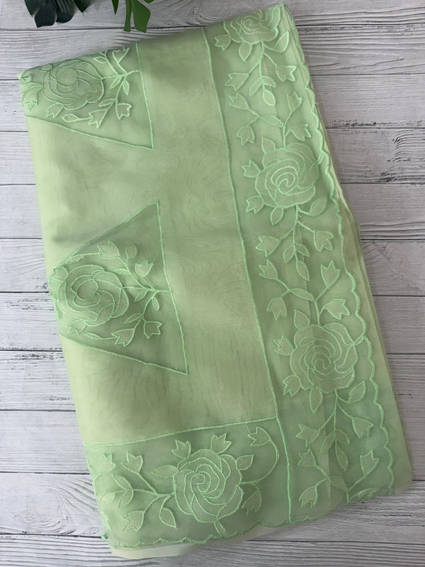 Viscose Organza saree with applique work-MSH101 PistaGreen