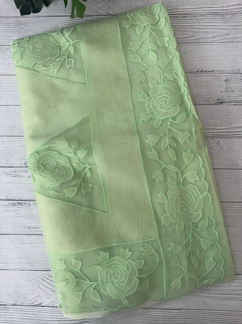 Viscose Organza saree with applique work-MSH101 PistaGreen