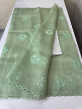 Tissue Organza saree with embroidery - MSH5509 DuskyGreen