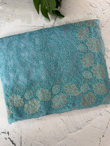 Semi Soft Organza saree with thread work and applique borders - MCW666 LightBlue