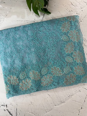 Semi Soft Organza saree with thread work and applique borders - MCW666 LightBlue