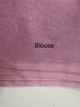 Semi Organza saree with applique borders - MCW799