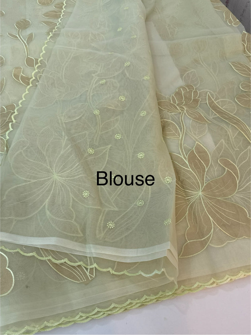 Organza saree with tissue applique work MS5081- PastelDuskyGreen
