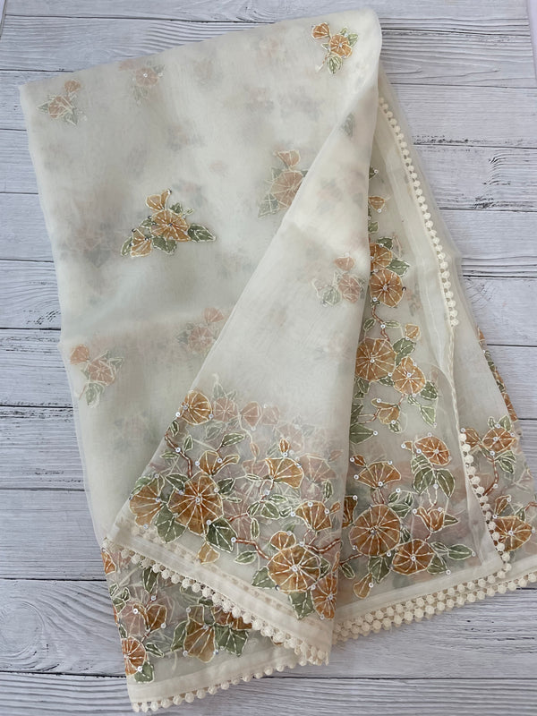 Organza saree with prints & hand embriodery work MS15333