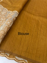 Blended tussar saree with organza applique applique borders MTSS452