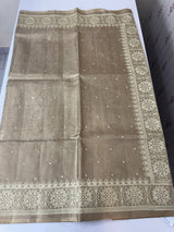Tissue silk saree with Chikankari embroidery MTTS97(3)