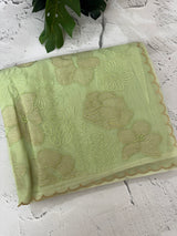 Viscose organza saree with thread work - MSH925 PastelGreen