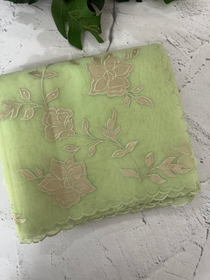 Viscose organza saree with applqiue work - MSH238 PistaGreen