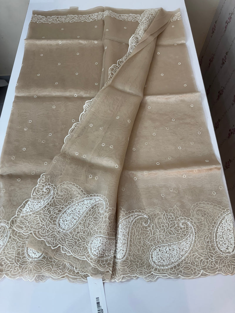 Viscose Organza saree with embriodery-MS14414