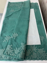 Soft organza saree with applique work - MCW225 DuskyGreenishBlue