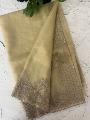 Semi Organza saree with applique and sequence borders - MCW699 Chiku