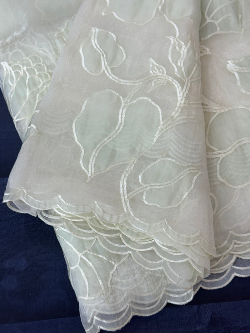 Tissue Organza Applique work saree MS15203- Pastel MintGreen