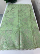 NetKota saree with tissue applique work MS15145 - PastelGreen