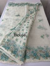 Organza saree with prints & hand embriodery work MS15333